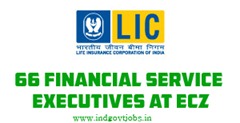 LIC ECZ FSE 2013