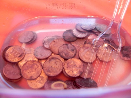 using vinegar and salt to shine pennies