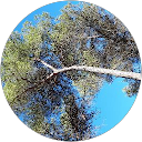 Image Google de V. Guichard