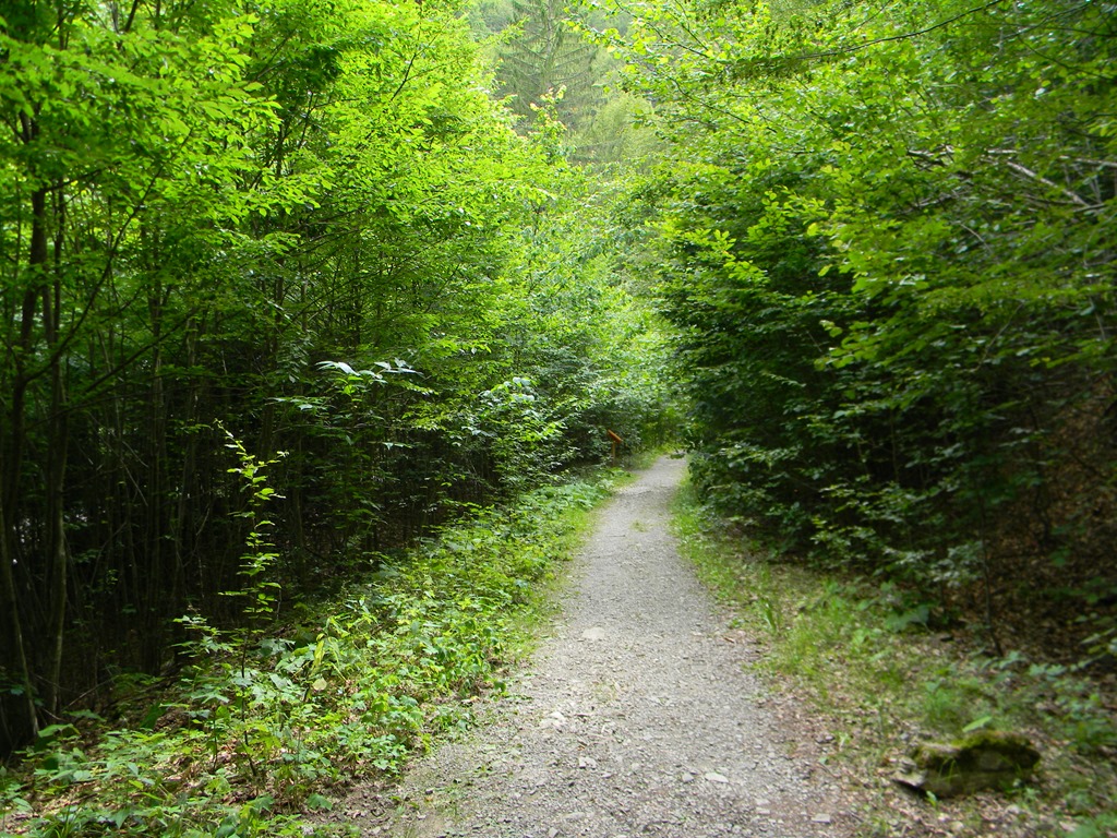 [DSCN39413.jpg]
