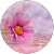 Phan Hương Phan Hương
