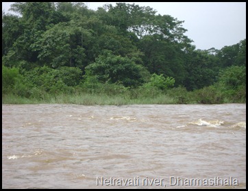 Netravati river, Dharmasthala