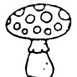champignon-(11).jpg