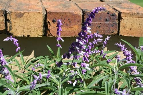 20100301 (12) (Large)