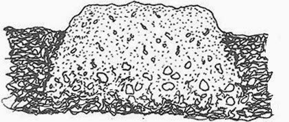 [raisedbeds001copy3.jpg]