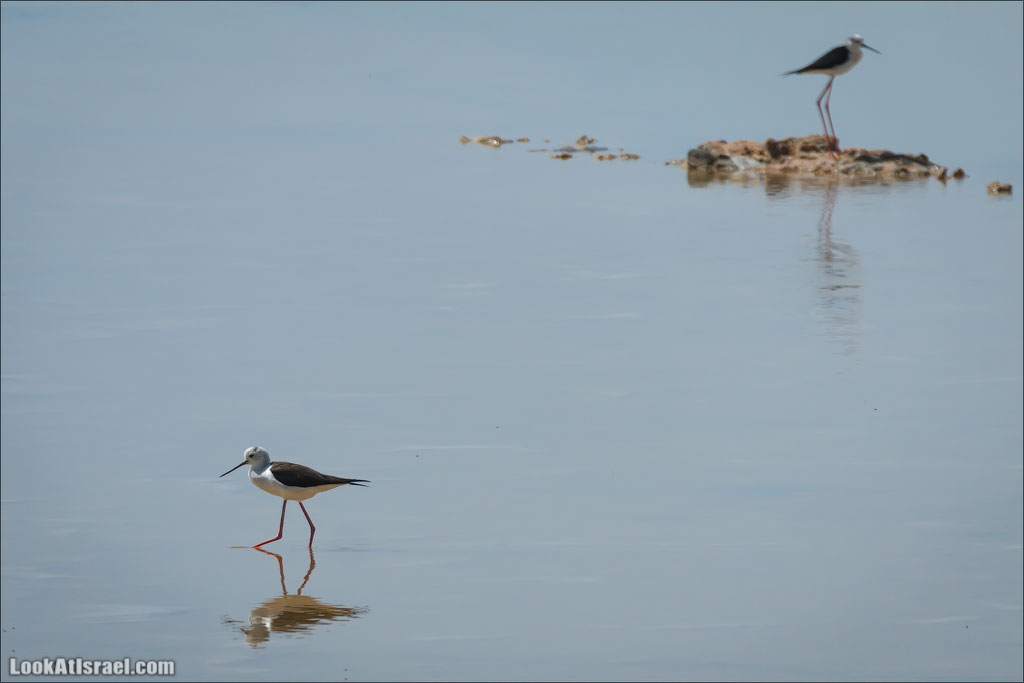 LookAtIsrael.com: Фото-блог о путешествиях по Израилю. Тель Авив, Иерусалим, Хайфа 