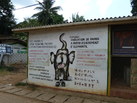 Suvenir Sri Lanka: aici se face hartie de caca de elefant