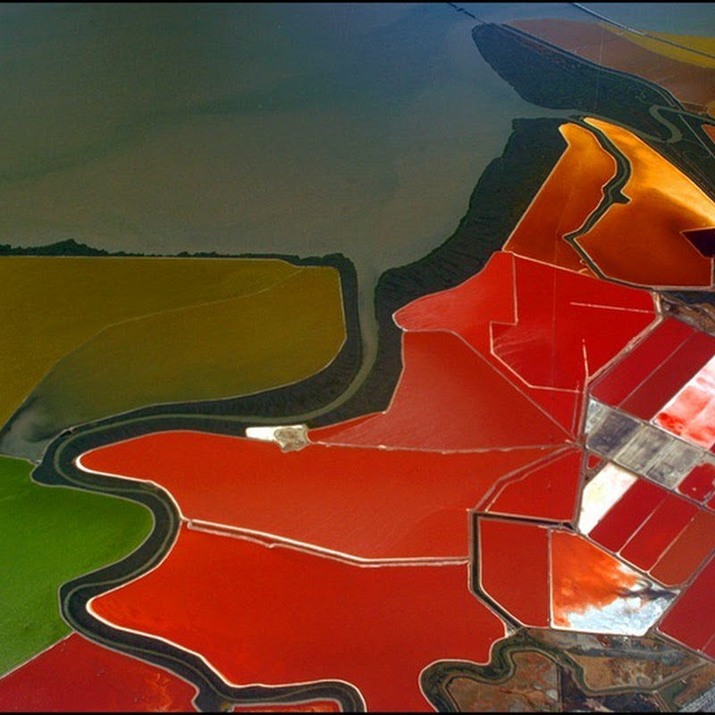 List 98+ Pictures which bay is home to these colorful salt ponds Updated