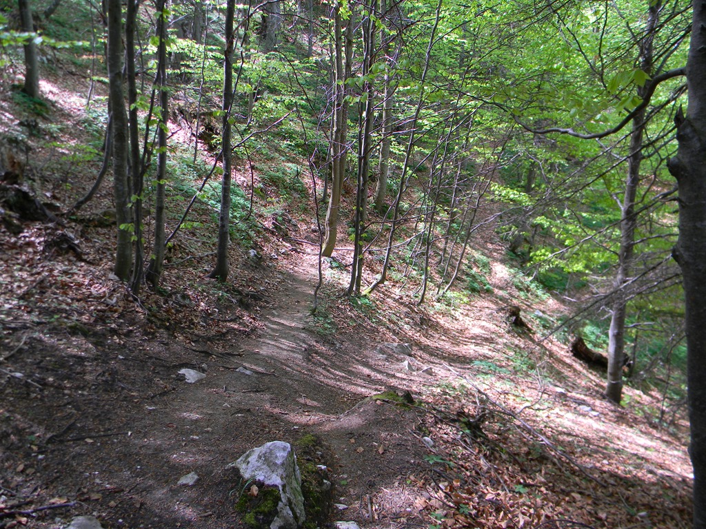 [DSCN84063.jpg]