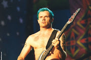 Flea
