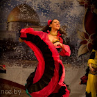 IMG_34483.jpg