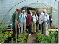 polytunnel discussion