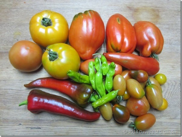 tomatoes&peppers