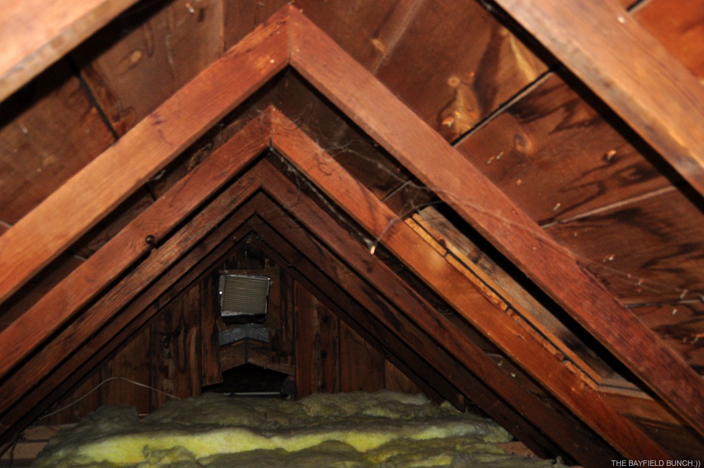 [DSC_0006%255B3%255D.jpg]