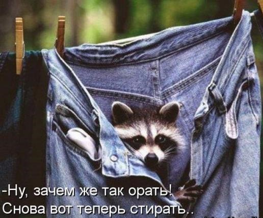 [eaeef15dfb4d7968efc58c2a4bf_prev%255B3%255D.jpg]