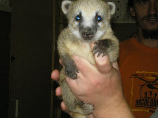 [user82824_pic6478_1249726307%255B2%255D.jpg]