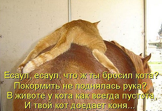 [kotomatrix_39%255B7%255D.jpg]