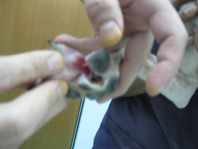 [IMG_1204%255B3%255D.jpg]