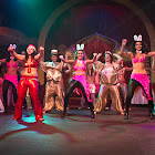 IMG_3368 copy.jpg
