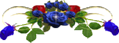 314525vNJD1p1p400x144.gif