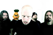 Meshuggah