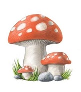 svamp_62674226 svamp_62674226