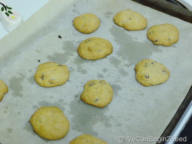 [Apr-30-GF-chocolate-chip-cookies-002%255B2%255D.jpg]