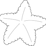 STARFISH3_BW_thumb.jpg