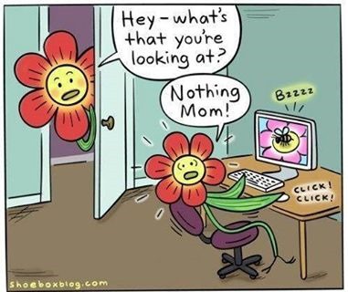 [Flower%2520po-n%255B3%255D.jpg]