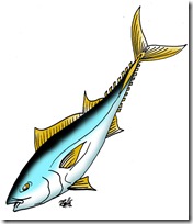 peces clipart blogcolorear (32)