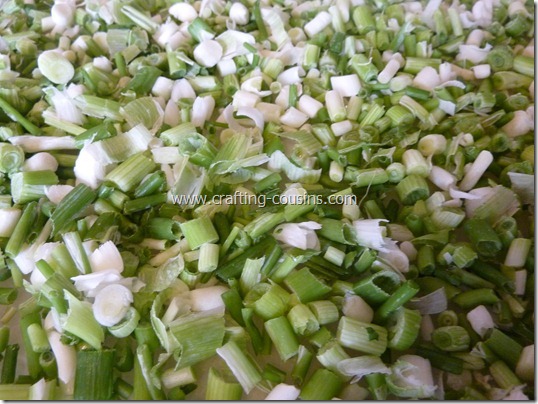 How to prepare green onions for the freezer.  Tips from the Crafty Cousins (16)