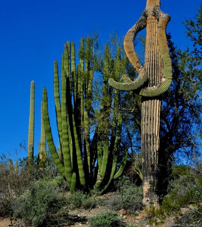 [DSC_0003-1%255B4%255D.jpg]