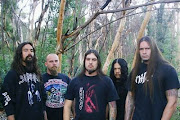 Disgorge