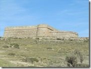 IMG_6306 IMG_6306