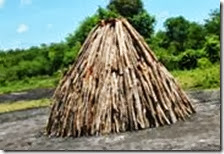 horno-carbón-manati horno-carbón-manati