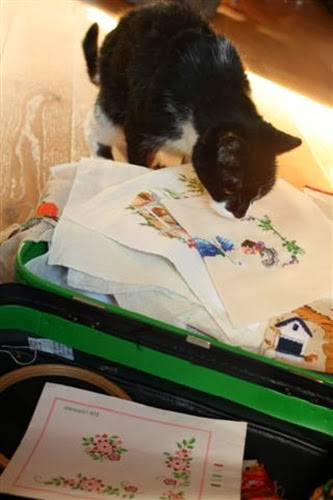 20091014 (1) (Small)