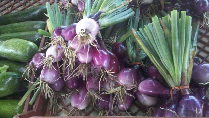farm stand onions
