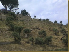 paysage-sicile2