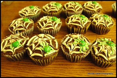 cupcakes 001-1