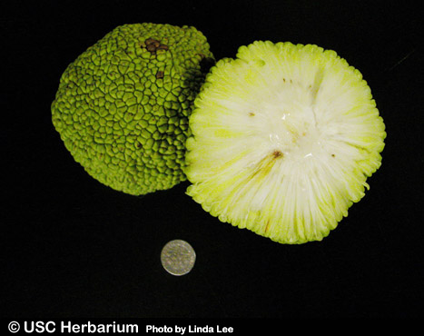 [image%255B43%255D.png]