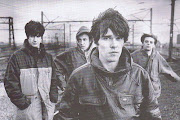 Stone Roses