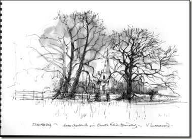 church-field-Hcs-bg church-field-Hcs-bg