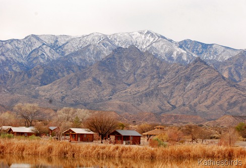 1. Mt. Graham-kab