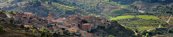 Torroja del Priorat des del camí del Pinell.Torroja del Priorat, Priorat, Tarragona