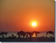 IMG_8319 IMG_8319