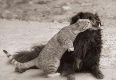 [200%255B2%255D.jpg]