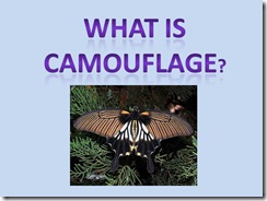 Camouflagepower