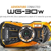 wg-30w_02.jpg