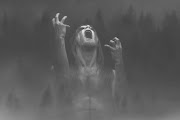 Taake