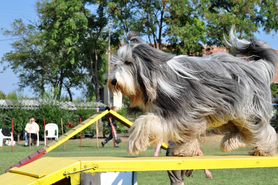 DSC_8375.JPG